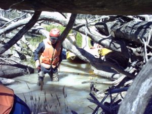 The logs of Salt Creek.