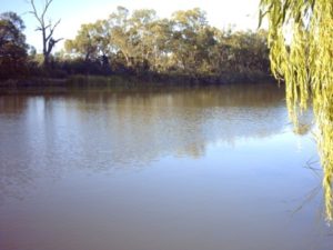 Early morning at Wentworth caravan park.