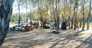 Confluence of the Rufus and Murray rivers.