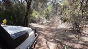 The removal started.