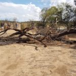 Dragging tree away from track.