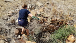 Nicole clearing Doodlakine Well.
