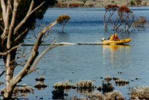 Heading 'home' on Saturday afternoon.