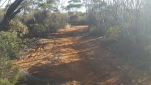 A section of the newly-cleared track.