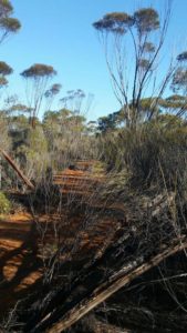Part of the old track. Whether it was Hunt's Track is open to question.