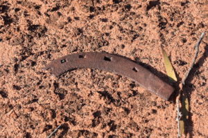 Part of a horseshoe.