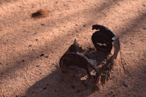 Some last longer than others.