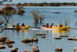 Soon after the start.