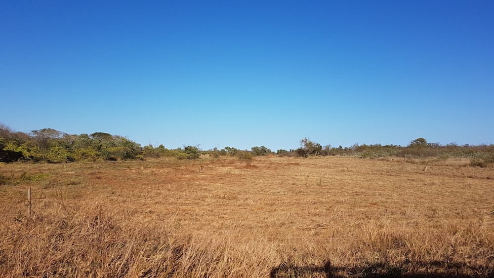 Typical Gascoyne country.