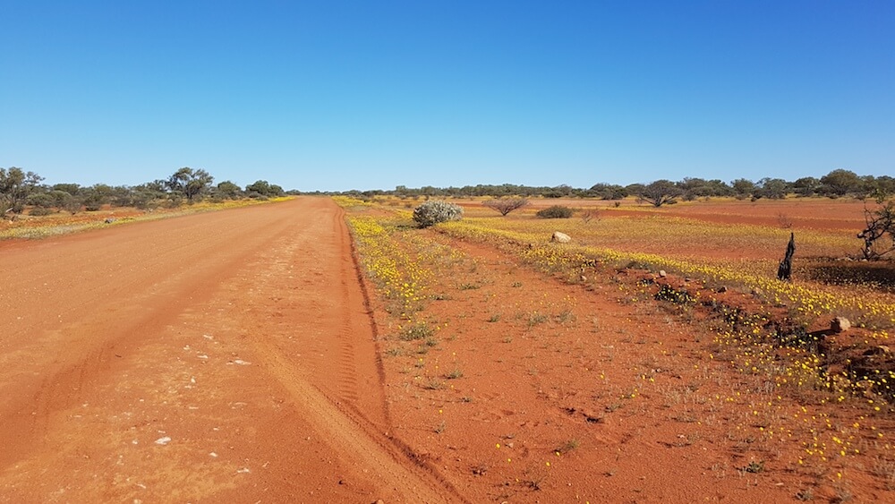The beginning of the Moogooree Track is a good outback road.