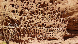 Easy to see how Honeycomb Gorge got its name.