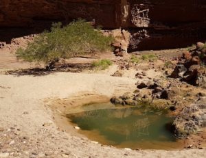 Pool at Honeycomb Gorge.