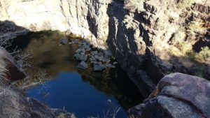 Pool at the head of Big Merton Falls.