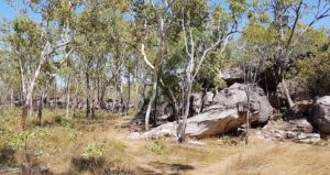 The gallery of rock art covers an extensive area.