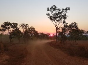 An awesome sunset on the return journey from Surveyors Pool.