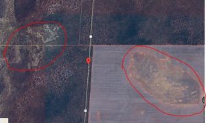 Ephemeral wetlands each side of the NWC Highway.