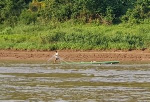 Fisherman. With somewhere between 770 and 1200 species, the Mekong has a very high fish biodiversity.