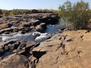 Mitchell River above the Falls.