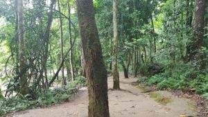 The return path from the waterfall.