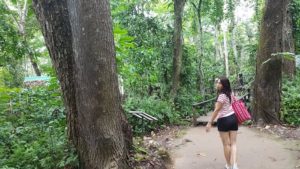 Tassy on the return path from the waterfall.