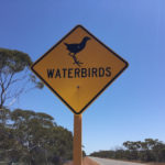 Waterbirds sign on North West Coastal Highway.