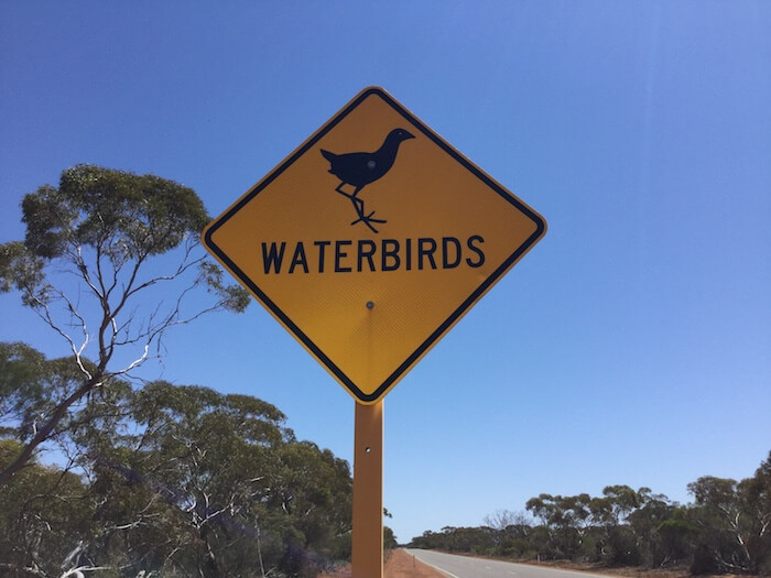 Waterbirds sign on North West Coastal Highway.