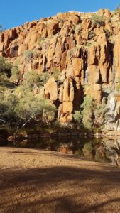 Mid-morning at Python Pool.