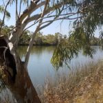 Deep Reach is a permanent pool on the Fortescue River.