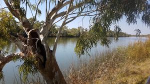 Deep Reach is a permanent pool on the Fortescue River.