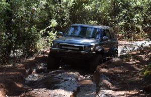 Eugene in his surf at the same mudhole.