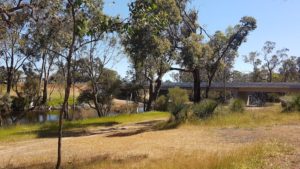 Tonebridge Campground