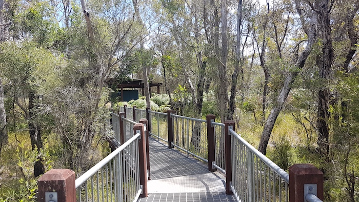 The elevated walkway at the Lake Muir Bird Observatory.