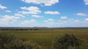 The view from the Lake Muir Bird Observatory.