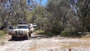 The track into Red Lake campsite.