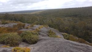 Possum Trappers Hill