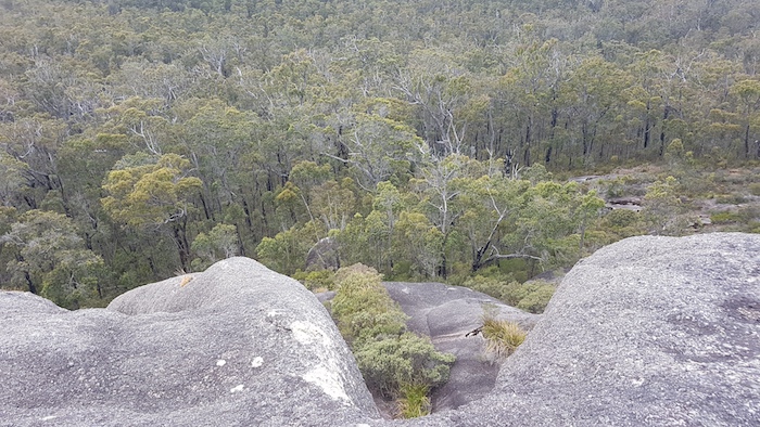 Looking south on Possum Trappers Hill.