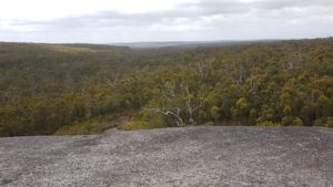 Possum Trappers Hill