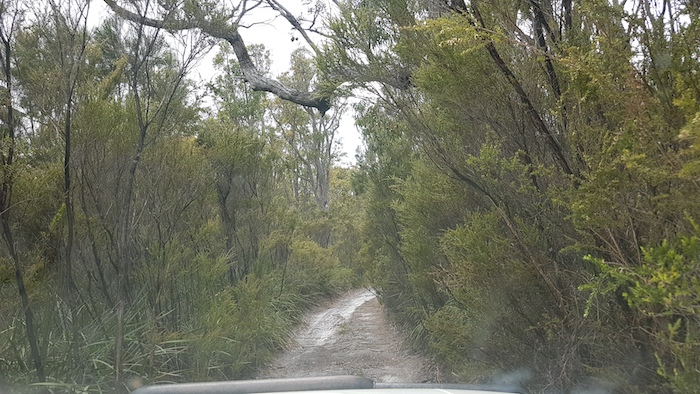 A portion of the track in to Possum Trappers Hill.
