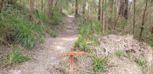 Bibbulmun Track