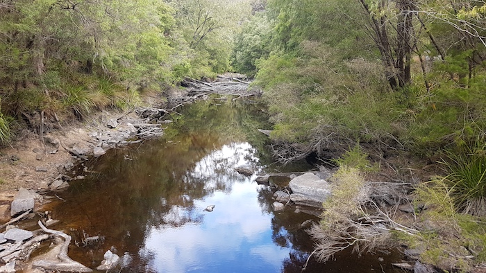 Frankland River as seen from Tingle Drive.