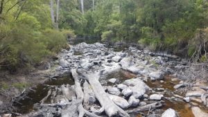 Frankland River crossing on Tingle Drive.