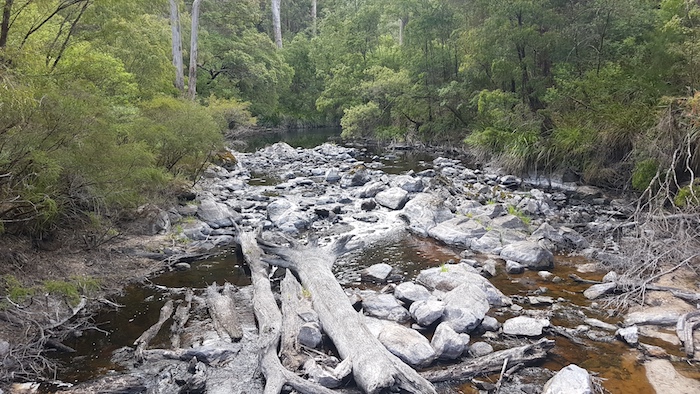 Frankland River crossing on Tingle Drive.