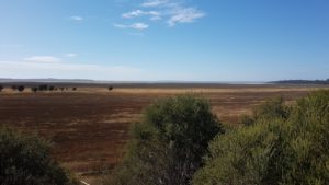 Lake Muir as seen from the Bird Observatory.