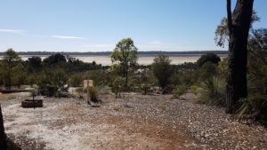 Dry Lake Unicup.
