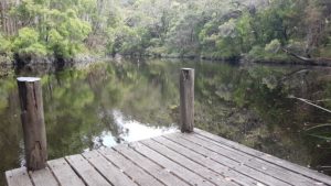 Monastery Landing on the Frankland River.