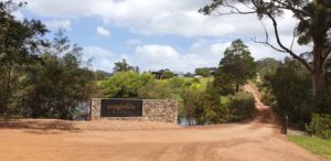 Award winning Singlefile Winery.