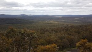 The view north from the Lookout over the Walpole Wilderness.