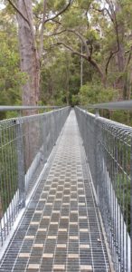 The Tree Top Walk