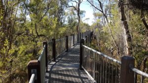 The elevated walkway leads to the bird obsevatory.