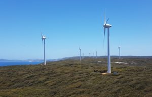 Albany Wind Farm